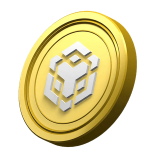 BNB decorative coin within the platform information section